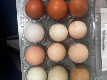 Selling with In-person Payment: Fresh eggs from happy hens❤️