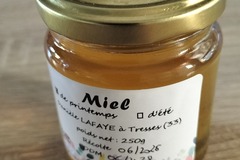 Les miels : Miel d'acacia de Gironde 
