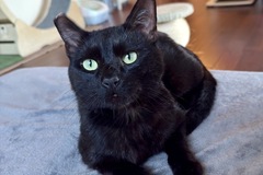   : Benji