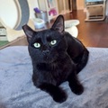   : Benji