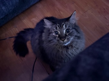   : Max 