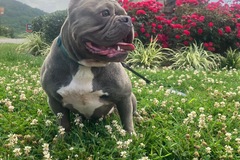   : Bella