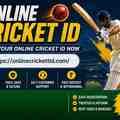 Bulk Lots: Our TigerExch247 WhatsApp number offers an online cricket ID 