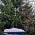 Vuokrataan (viikko): Thule Motion 800 alpine+ telineet