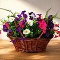 Sales: panier en osier avec fleur artificielle bien garnie