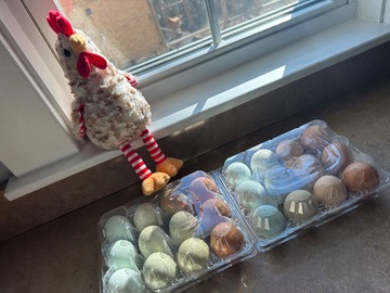 Selling with In-person Payment: Backyard Freshness 
