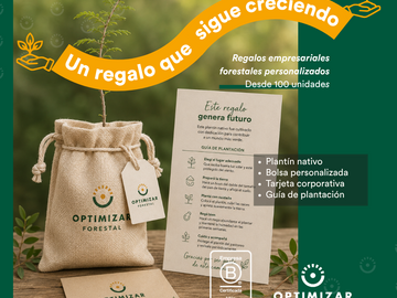 Radar: Regalos corporativos que siguen creciendo-Regala plantines