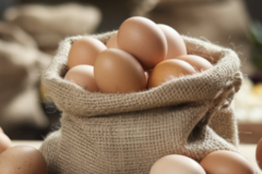 Selling with online payment: Pasture-Raised Rhode Island Red eggs