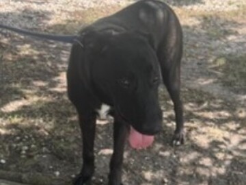   : Chaco