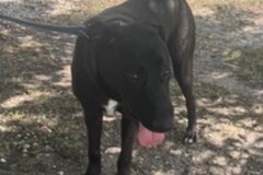   : Chaco