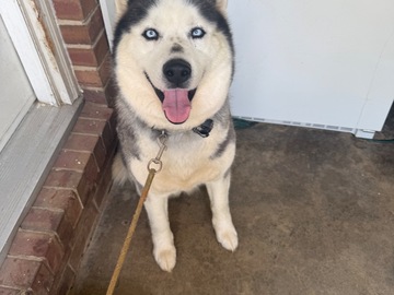   : Mia