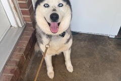   : Mia