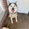   : Mia