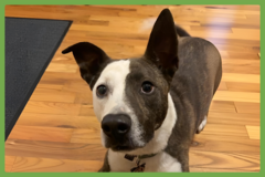  : Penny