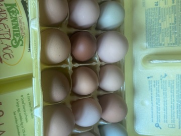 Selling with In-person Payment: Fresh free range chicken eggs 