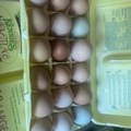 Selling with In-person Payment: Fresh free range chicken eggs 