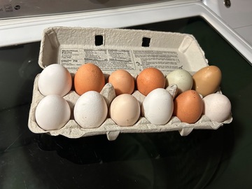 Selling with In-person Payment: Chicken Eggs