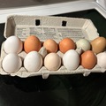 Selling with In-person Payment: Chicken Eggs