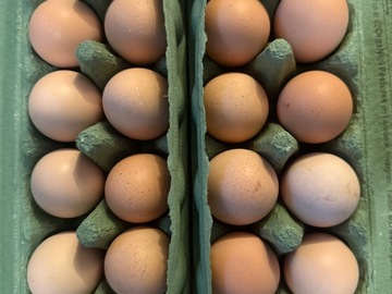 Selling with In-person Payment: Velociraptor Eggs