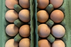 Selling with In-person Payment: Velociraptor Eggs