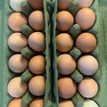 Selling with In-person Payment: Velociraptor Eggs