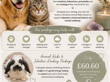 Selling:    NEW – Pet Psychic Readings & Animal Reiki   