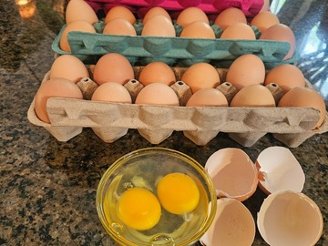 Selling with In-person Payment: Free Range Fresh Chicken Eggs