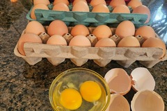 Selling with In-person Payment: Free Range Fresh Chicken Eggs