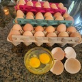 Selling with In-person Payment: Free Range Fresh Chicken Eggs