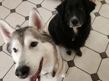   : Cooper and Riley
