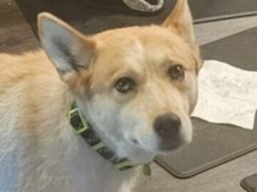   : Kiya