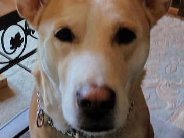   : Ella