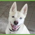  : Buddy