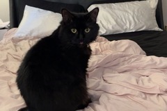   : Sammy