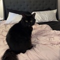   : Sammy