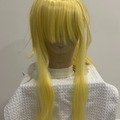Selling with online payment: Winry Wig Fullmetal Alchemist