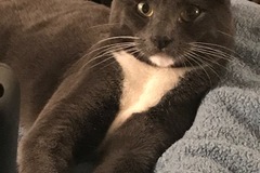   : Poopy