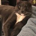   : Poopy