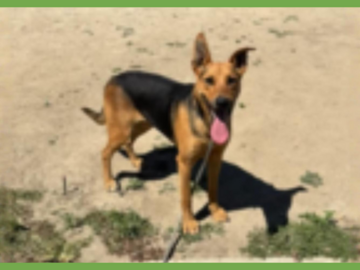  : Sammy