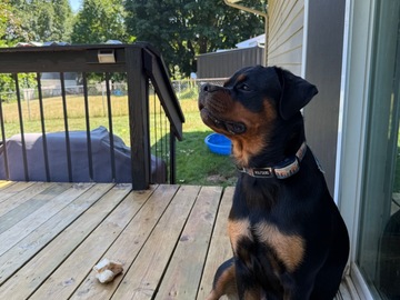   : Sophie