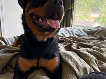   : Sophie
