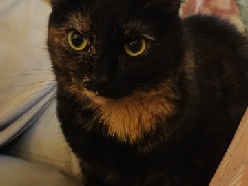   : Julie