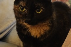   : Julie