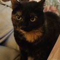   : Julie