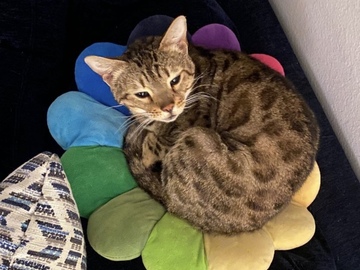   : Kiki