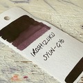 Selling: Iroshizuku Syun-Gyo