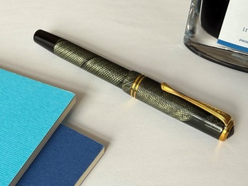 Renting out: Vintage Reiger fountain pen (F)
