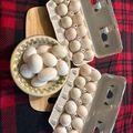 Selling with In-person Payment: Fresh Duck Eggs