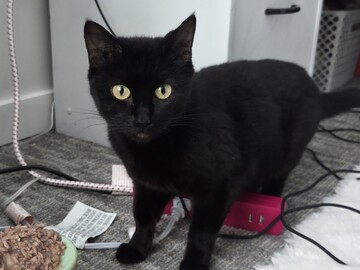   : Binx