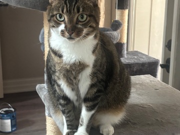   : Tito